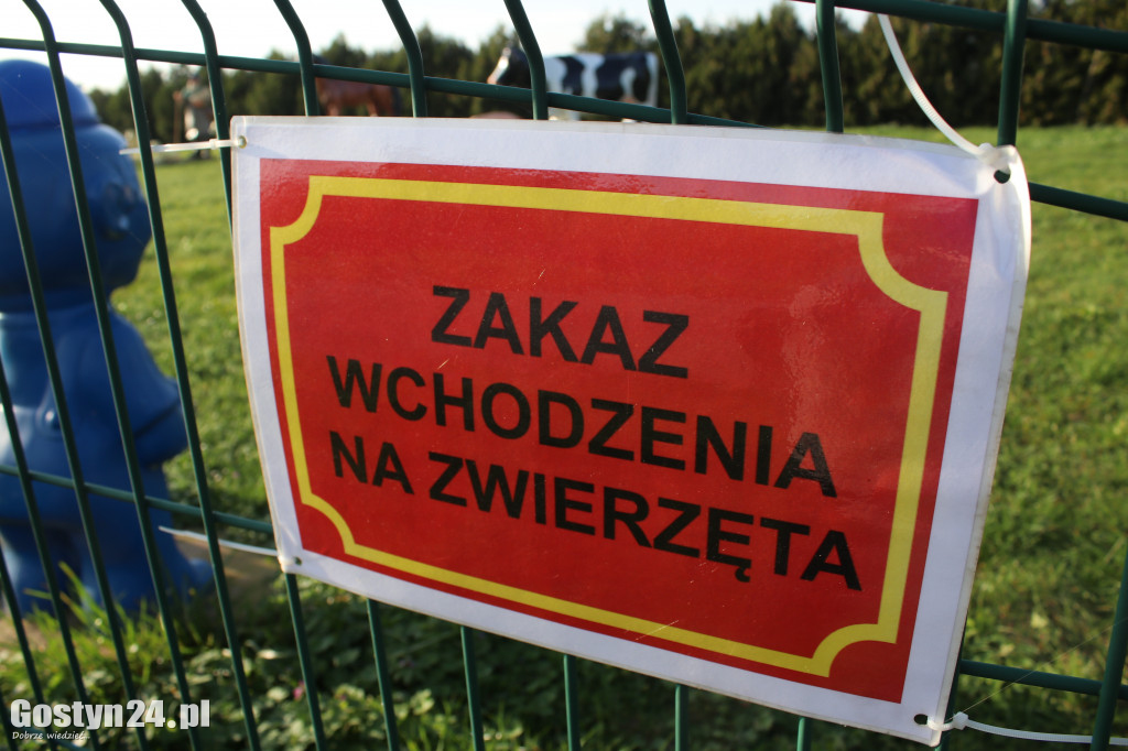 Zagroda z figurami zwierząt w Godurowie