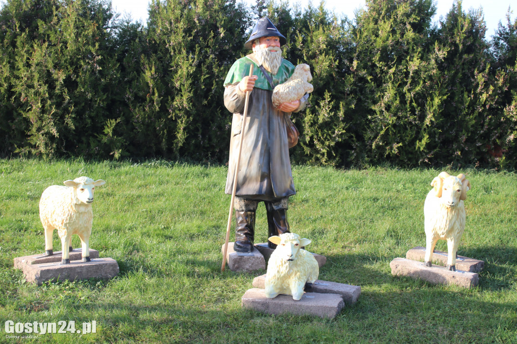 Zagroda z figurami zwierząt w Godurowie