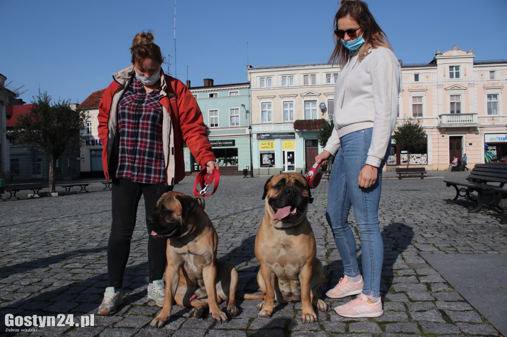 Protest hodowców psów w Gostyniu
