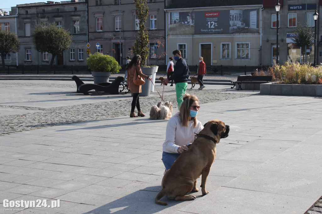 Protest hodowców psów w Gostyniu