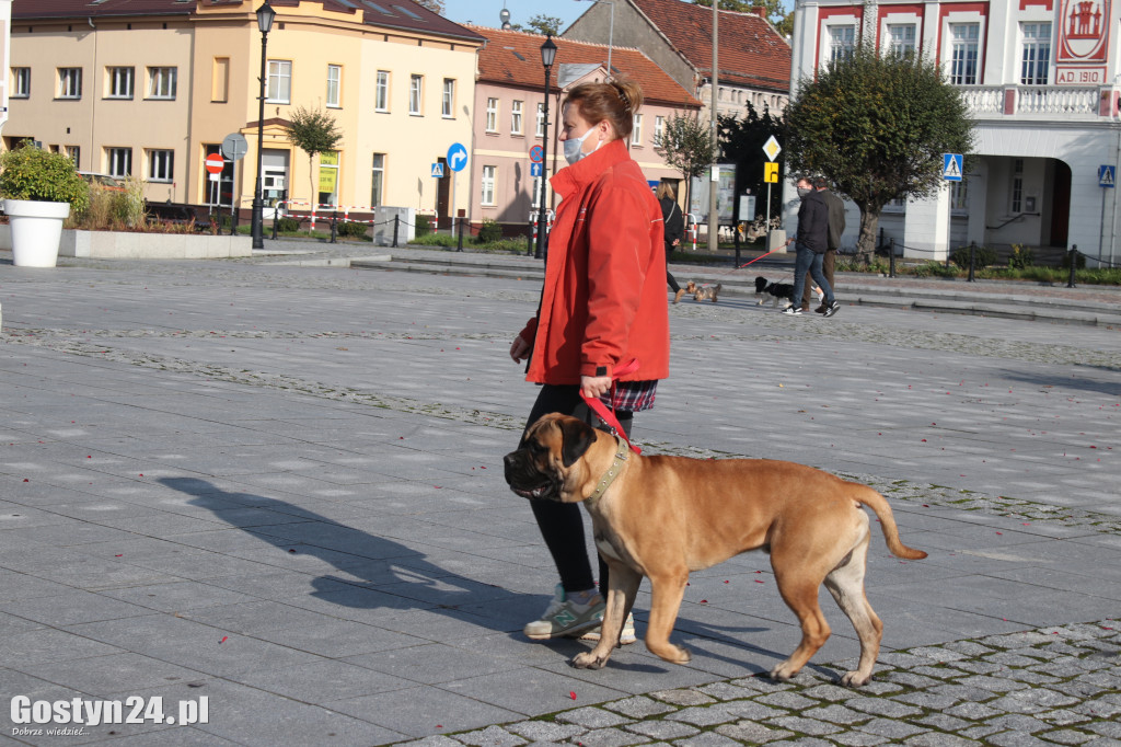 Protest hodowców psów w Gostyniu