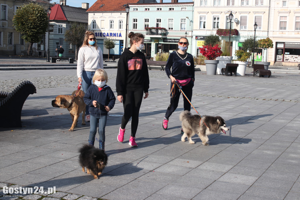 Protest hodowców psów w Gostyniu