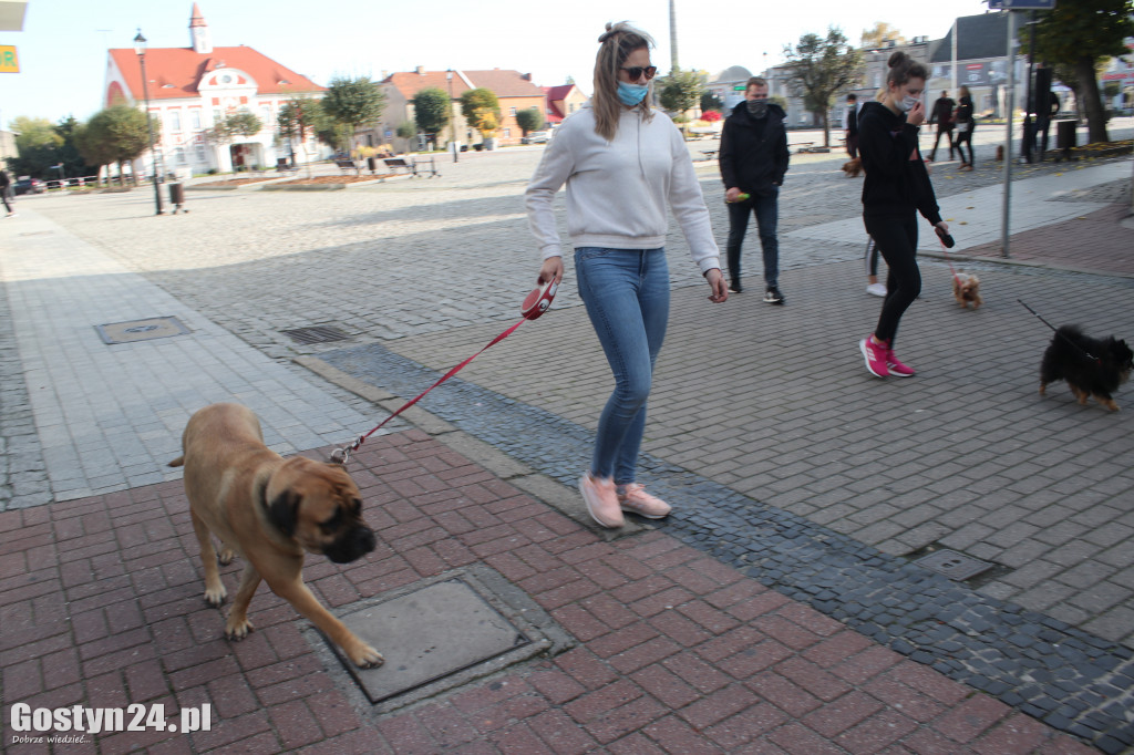 Protest hodowców psów w Gostyniu