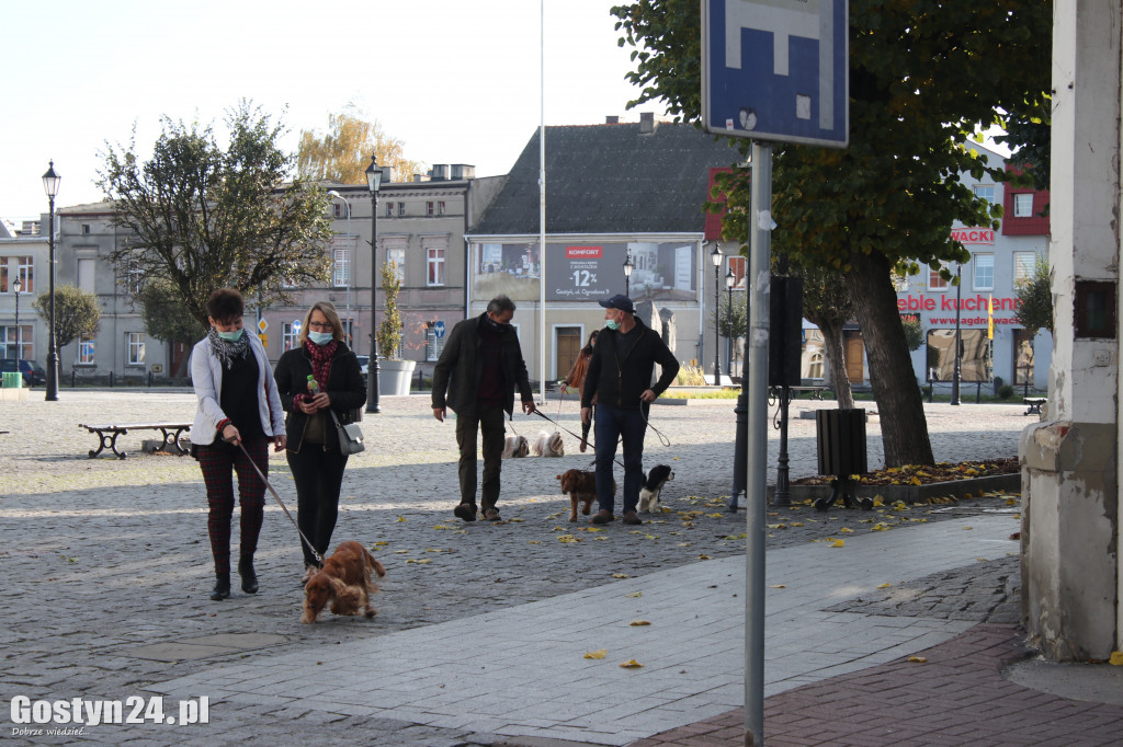 Protest hodowców psów w Gostyniu
