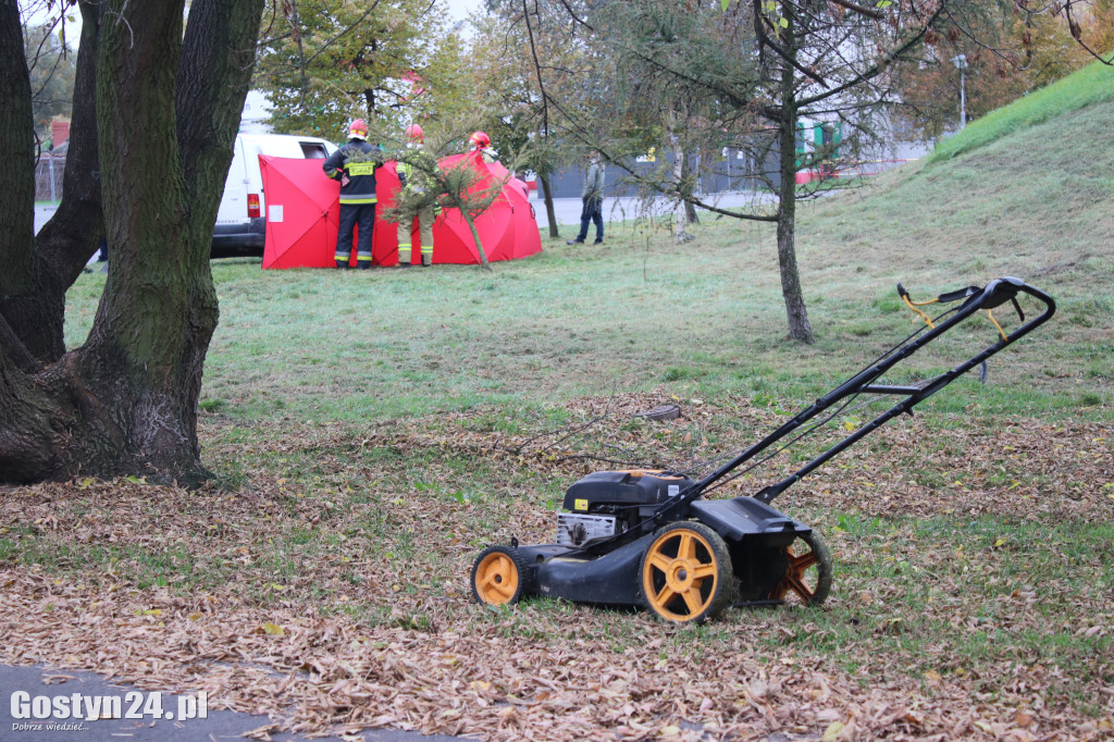 Osy zaatakowały podczas pracy pracownika ZGKiM