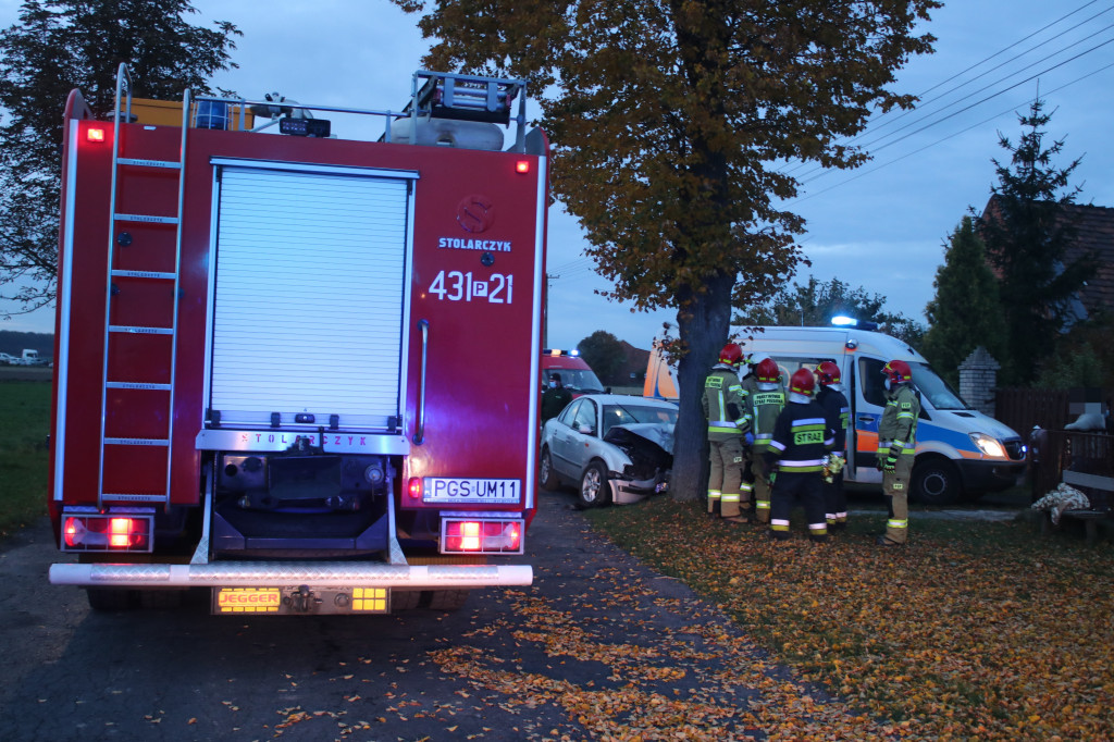 Wypadek samochodu osobowego w Ludwinowie
