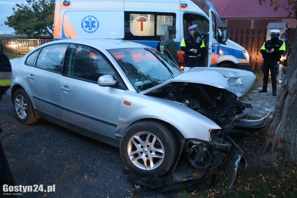 Wypadek samochodu osobowego w Ludwinowie