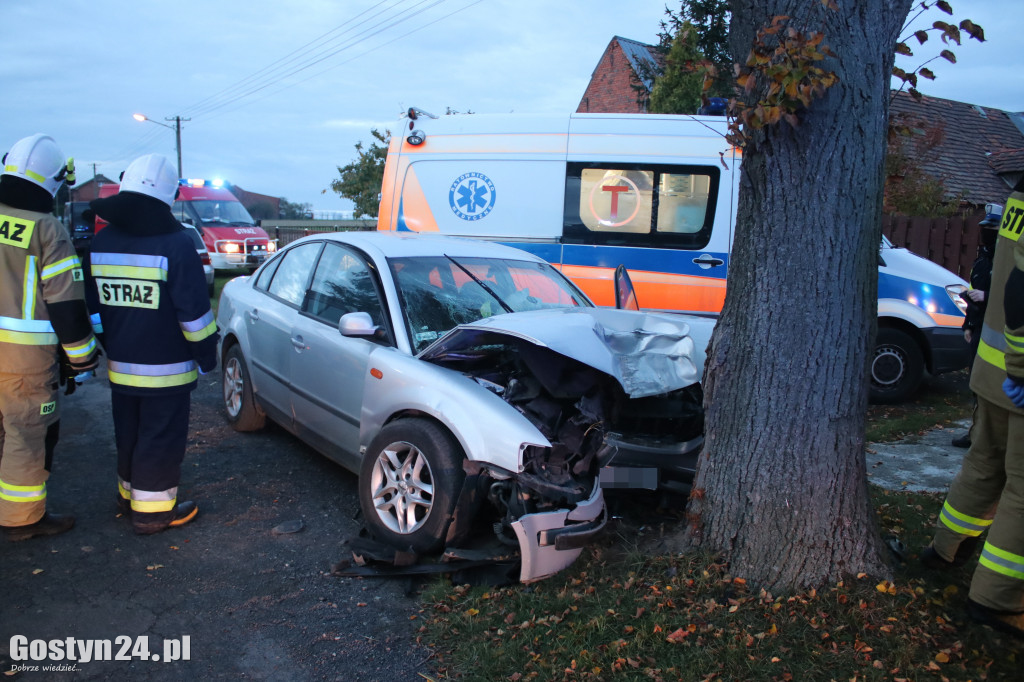 Wypadek samochodu osobowego w Ludwinowie