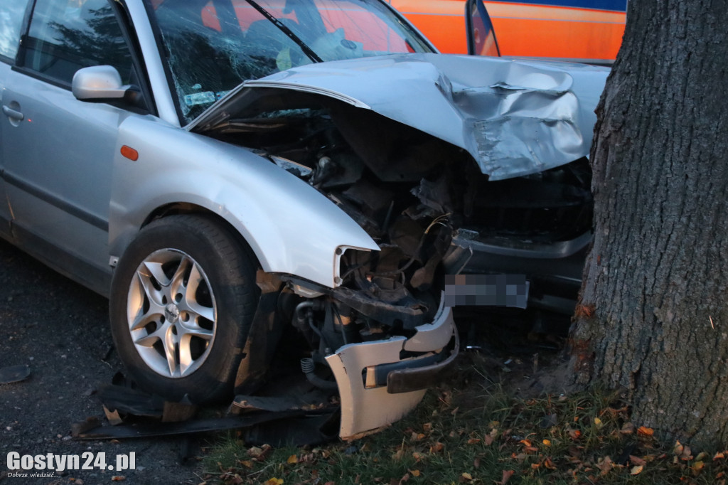 Wypadek samochodu osobowego w Ludwinowie