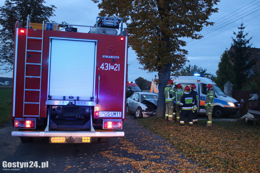 Wypadek samochodu osobowego w Ludwinowie