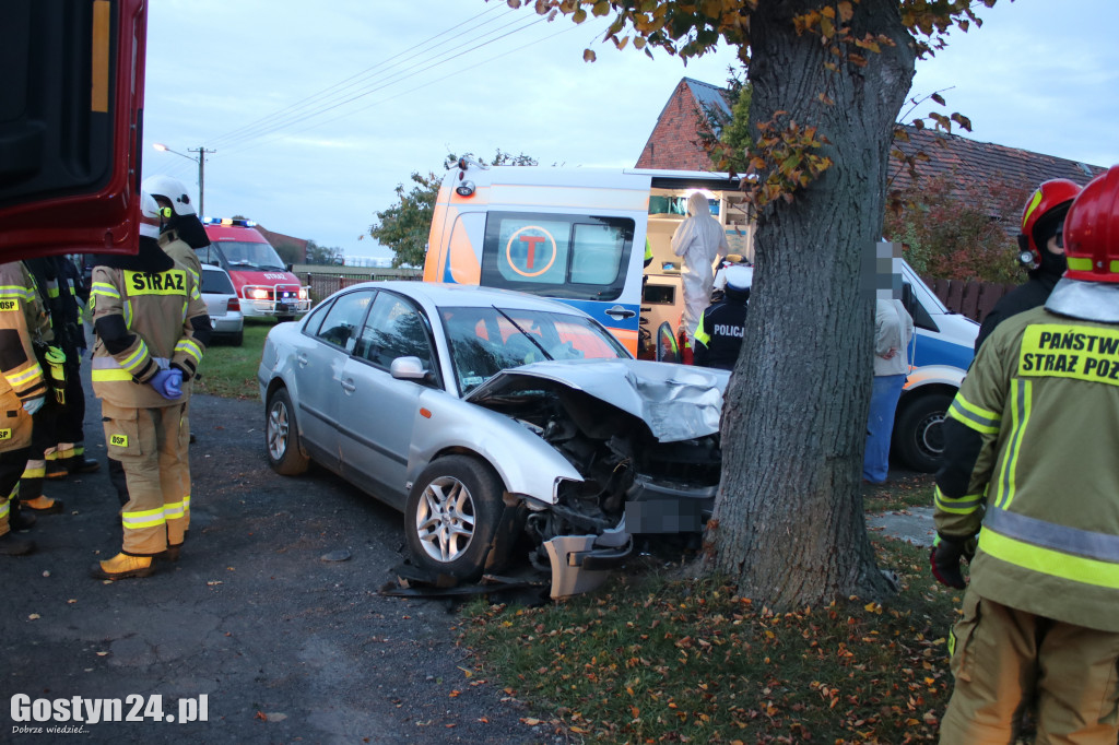 Wypadek samochodu osobowego w Ludwinowie