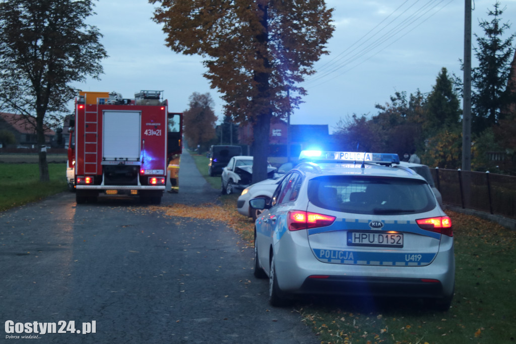 Wypadek samochodu osobowego w Ludwinowie