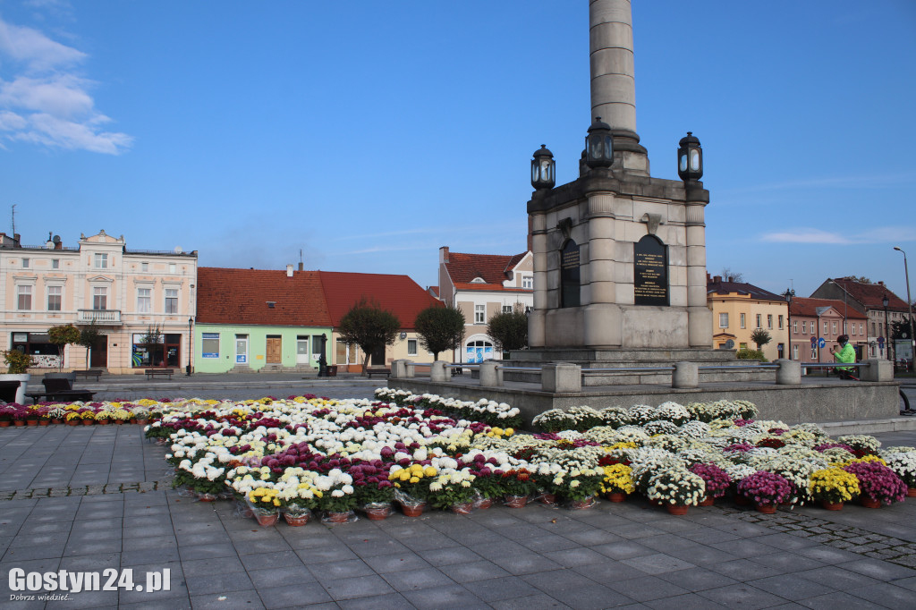 Gmina zakupiła kwiaty od lokalnych ogrodników