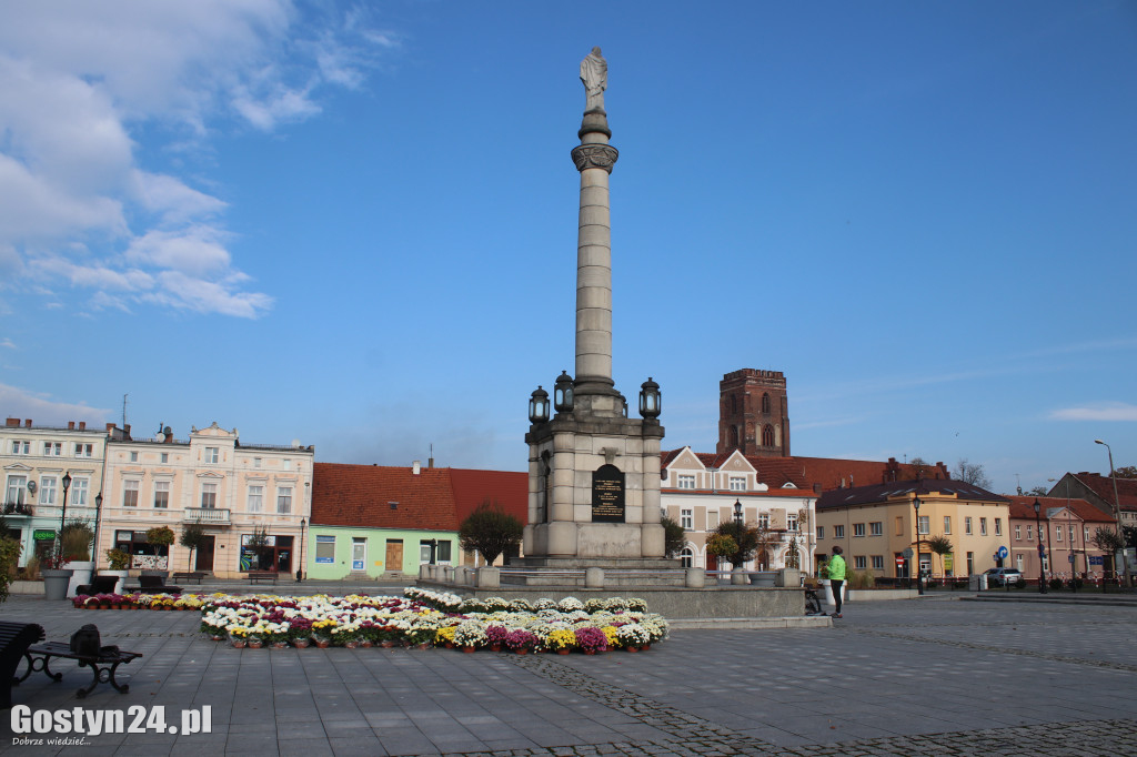 Gmina zakupiła kwiaty od lokalnych ogrodników