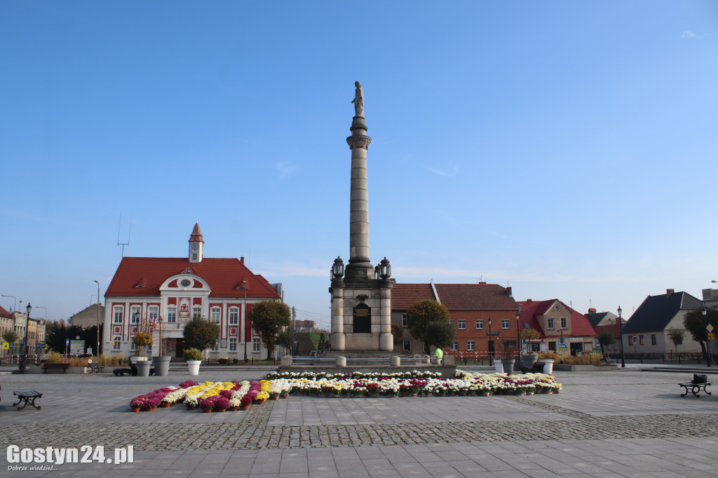 Gmina zakupiła kwiaty od lokalnych ogrodników