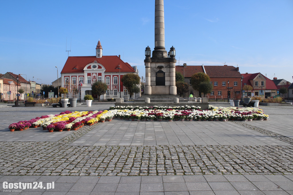 Gmina zakupiła kwiaty od lokalnych ogrodników