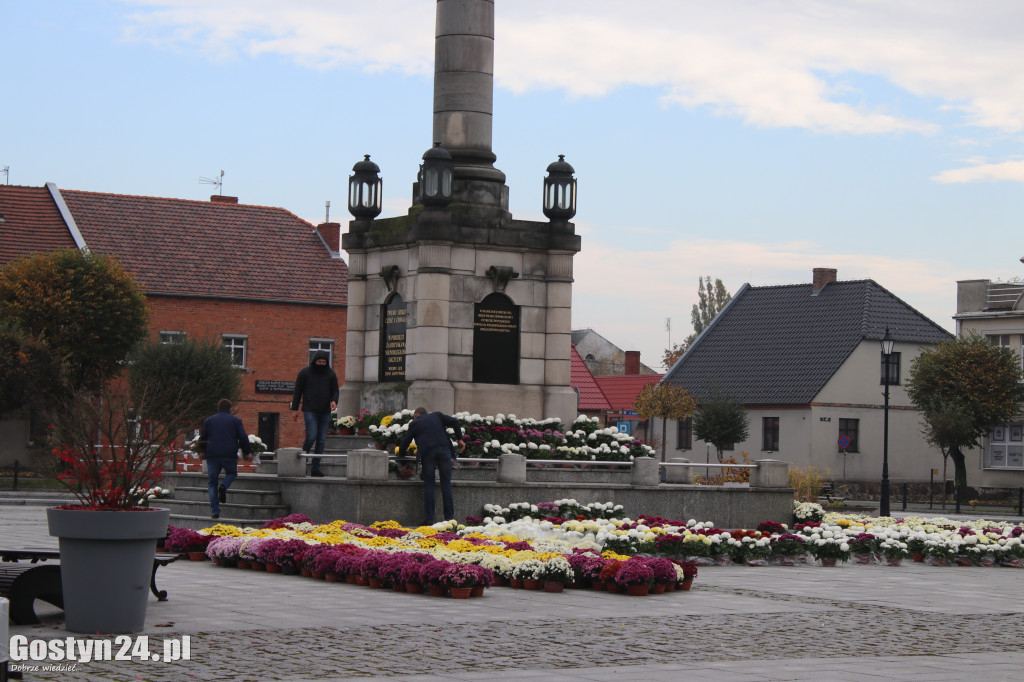 Gmina zakupiła kwiaty od lokalnych ogrodników