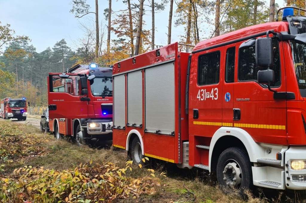 Wypadek w lesie między Oporówkiem a Śmiłowem
