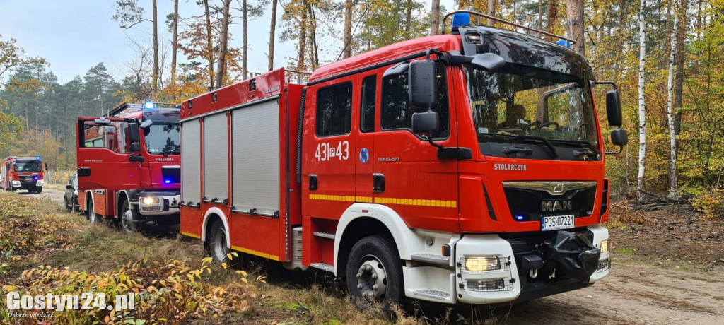 Wypadek w lesie między Oporówkiem a Śmiłowem