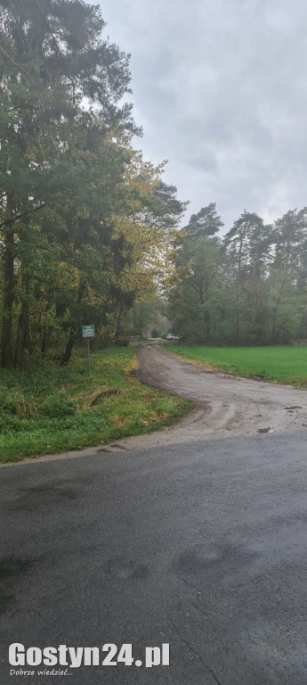 Wypadek w lesie między Oporówkiem a Śmiłowem