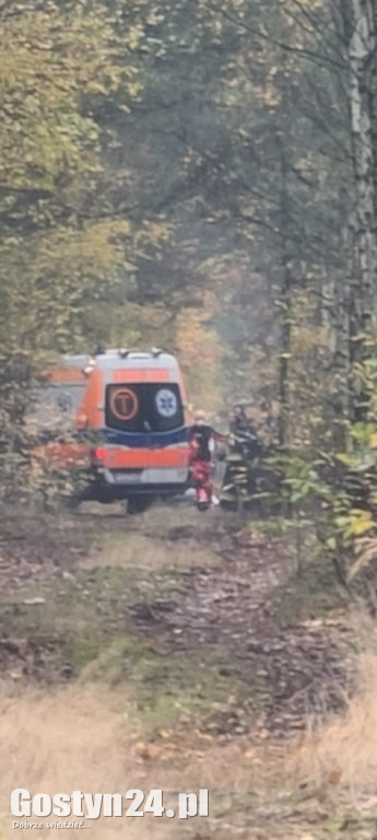 Wypadek w lesie między Oporówkiem a Śmiłowem