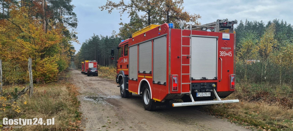 Wypadek w lesie między Oporówkiem a Śmiłowem