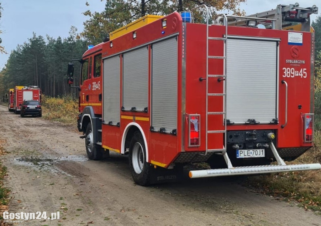 Wypadek w lesie między Oporówkiem a Śmiłowem