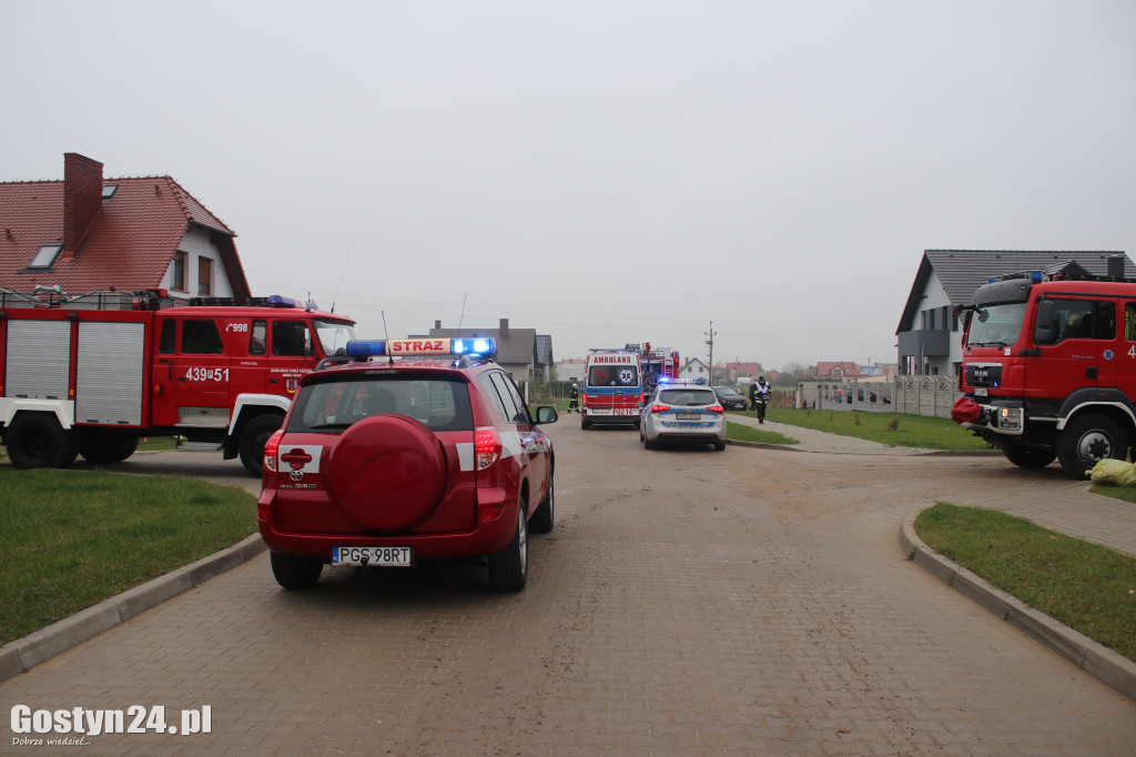 Zderzenie dwóch aut osobowych w Borku Wlkp