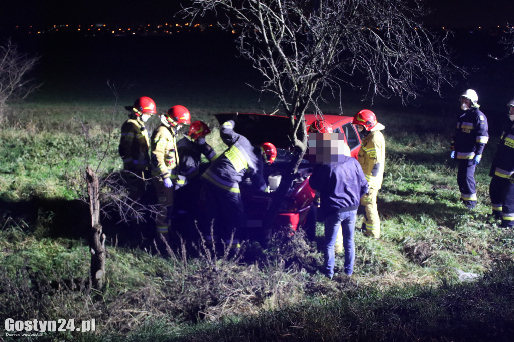 Auto dachowało w rowie na trasie Gostyń - Grabonóg