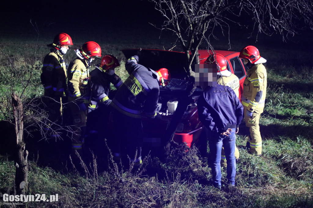 Auto dachowało w rowie na trasie Gostyń - Grabonóg