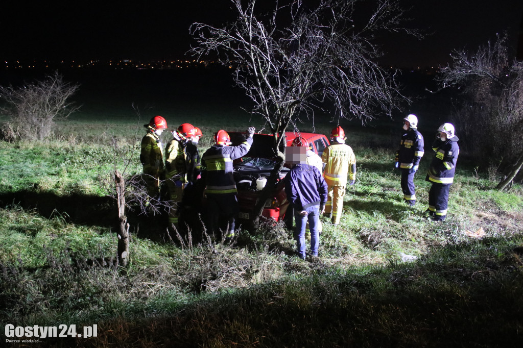 Auto dachowało w rowie na trasie Gostyń - Grabonóg