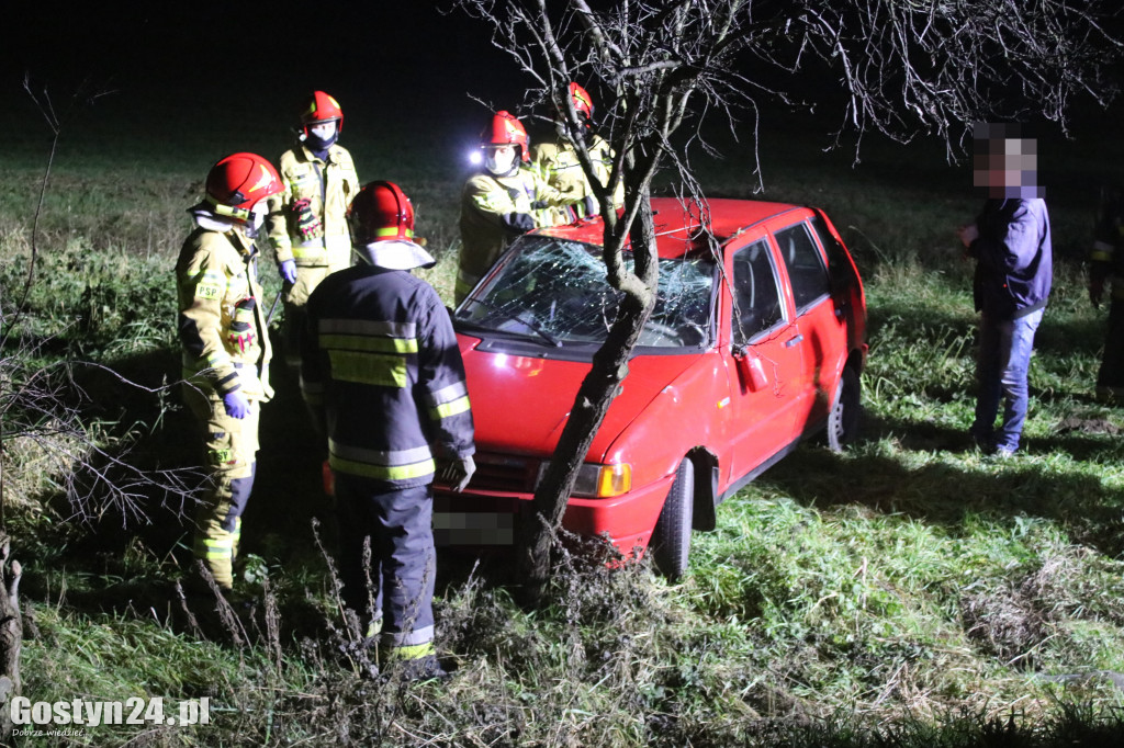 Auto dachowało w rowie na trasie Gostyń - Grabonóg