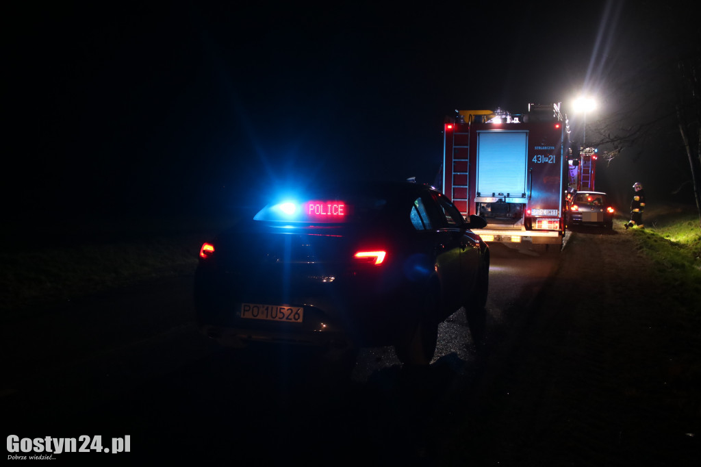 Zdarzenie na drodze powiatowej w Szelejewie