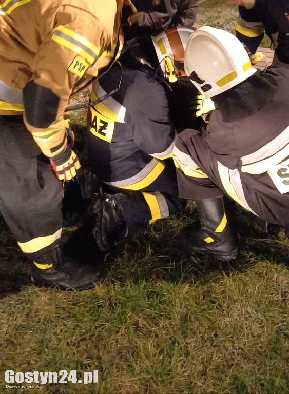 Akcja ratowania łąbędzia z zamarzniętego stawu