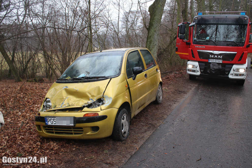 Drzewo spadło na samochód na trasie Gola - Klony