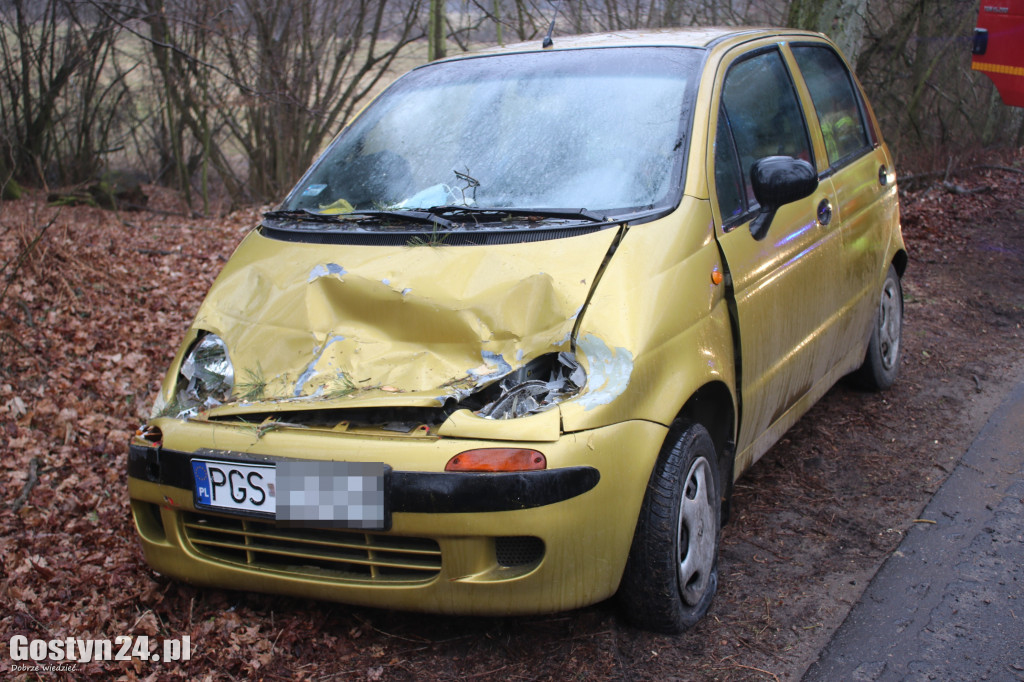 Drzewo spadło na samochód na trasie Gola - Klony