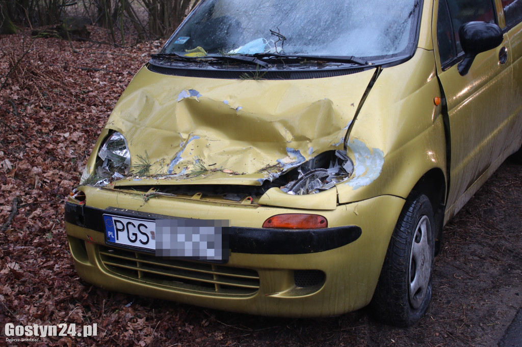 Drzewo spadło na samochód na trasie Gola - Klony