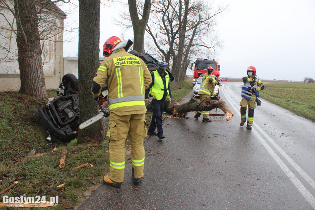 Pijany kierowca uderzył w drzewo i dachował