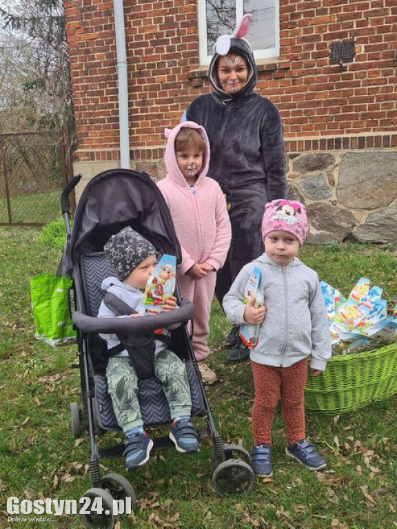 Zajączek zawitał do Drzewiec, w gminie Poniec