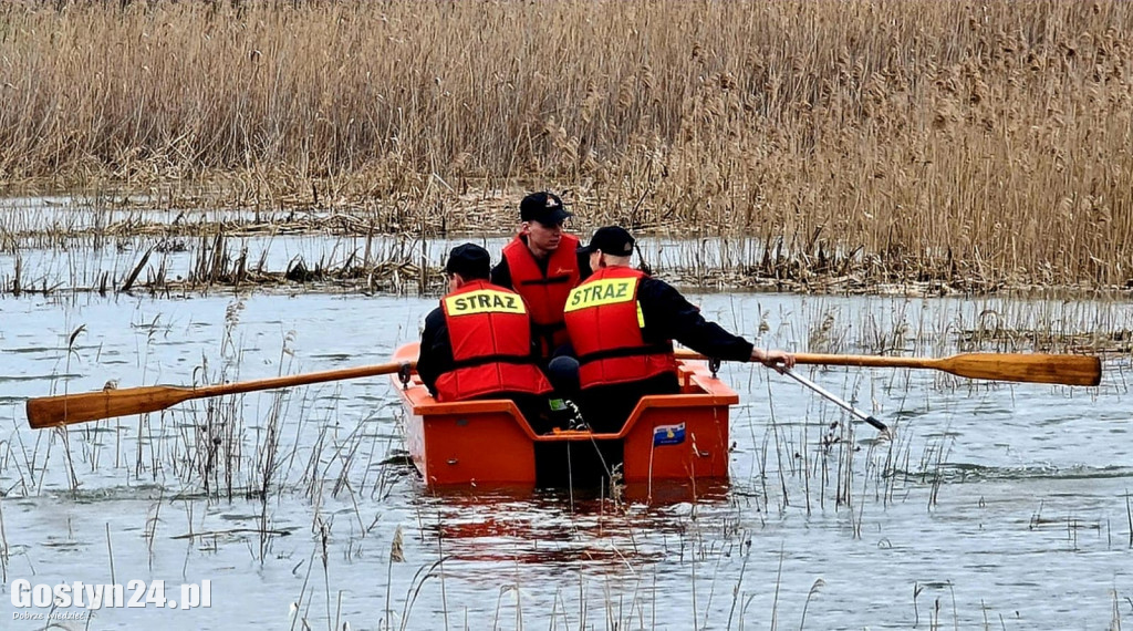 Ratowanie żurawi na stawie w Żytowiecku