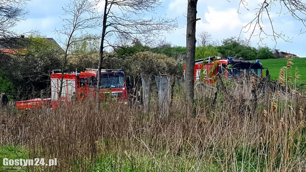 Ratowanie żurawi na stawie w Żytowiecku