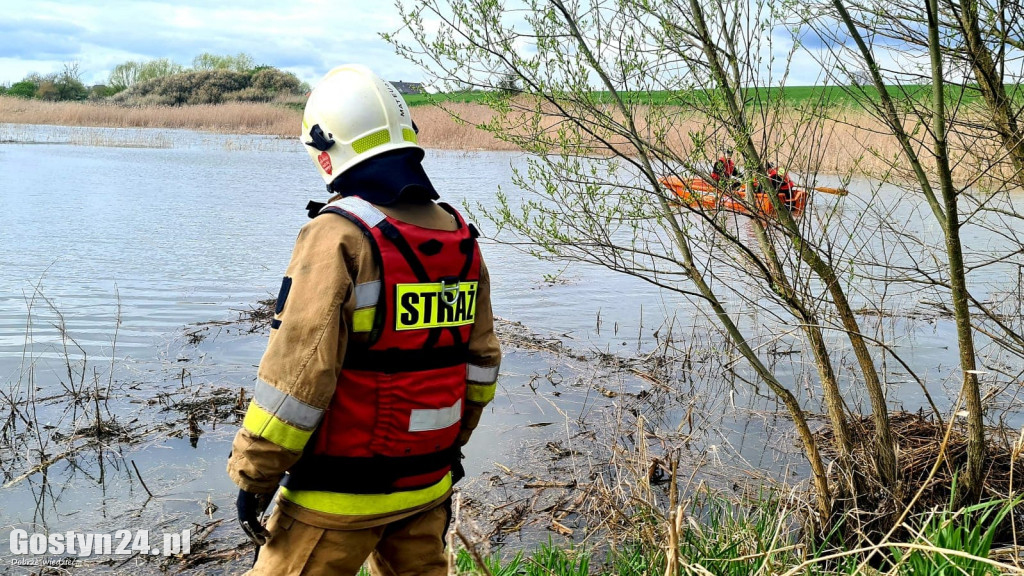 Ratowanie żurawi na stawie w Żytowiecku