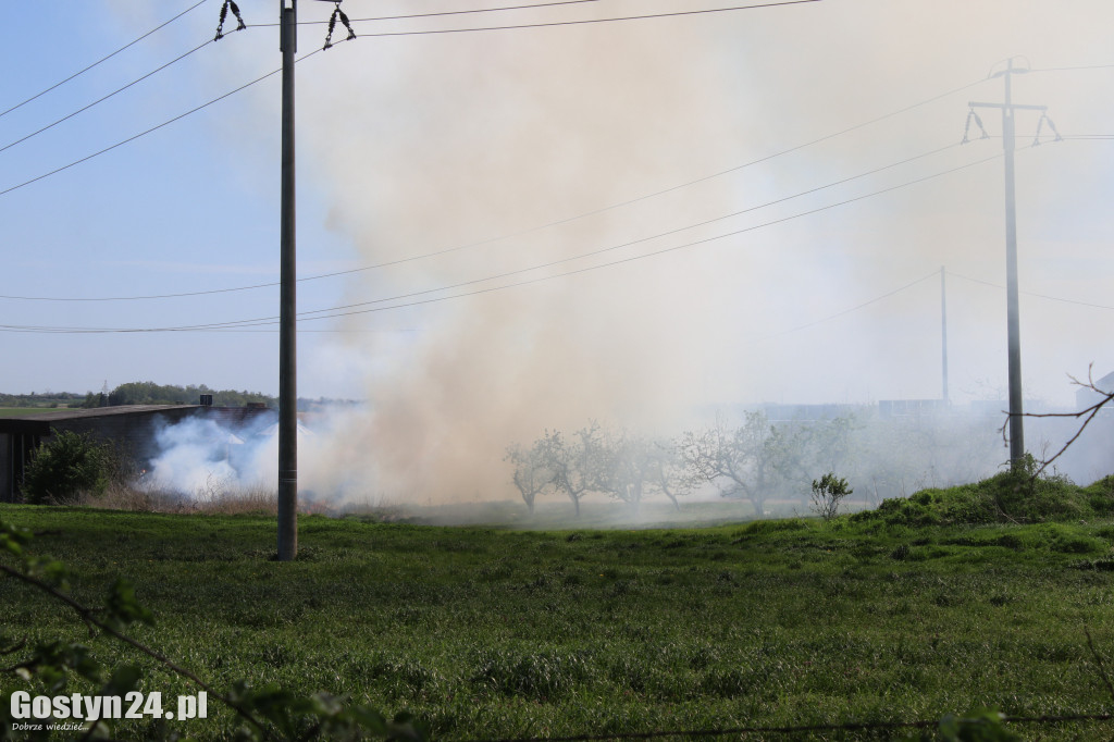 Pożar na terenie przyklasztornym na Świętej Górze
