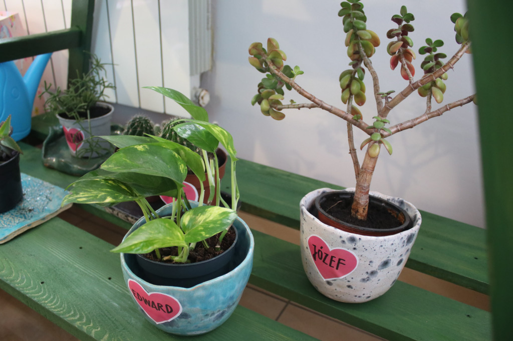 Zielona Strefa w gostyńskim Hutniku