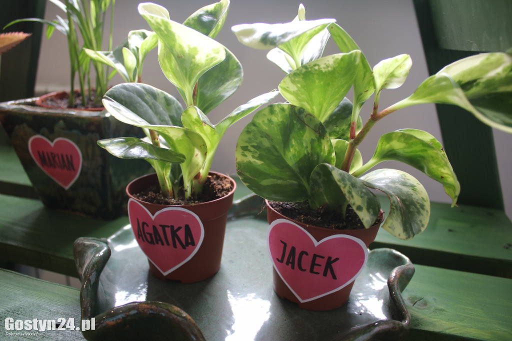 Zielona Strefa w gostyńskim Hutniku