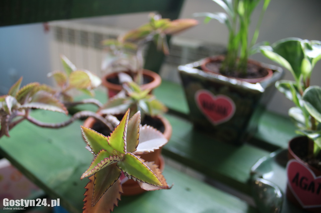 Zielona Strefa w gostyńskim Hutniku