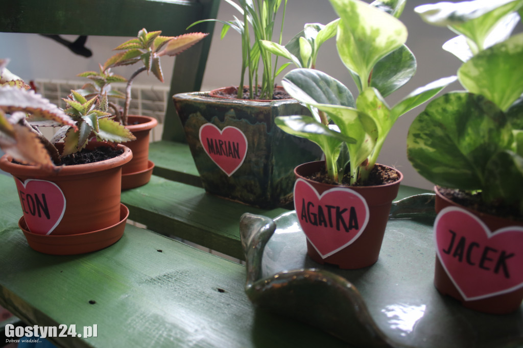 Zielona Strefa w gostyńskim Hutniku