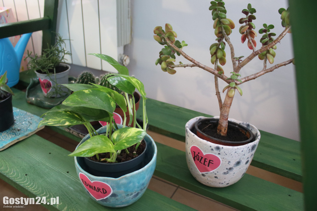 Zielona Strefa w gostyńskim Hutniku