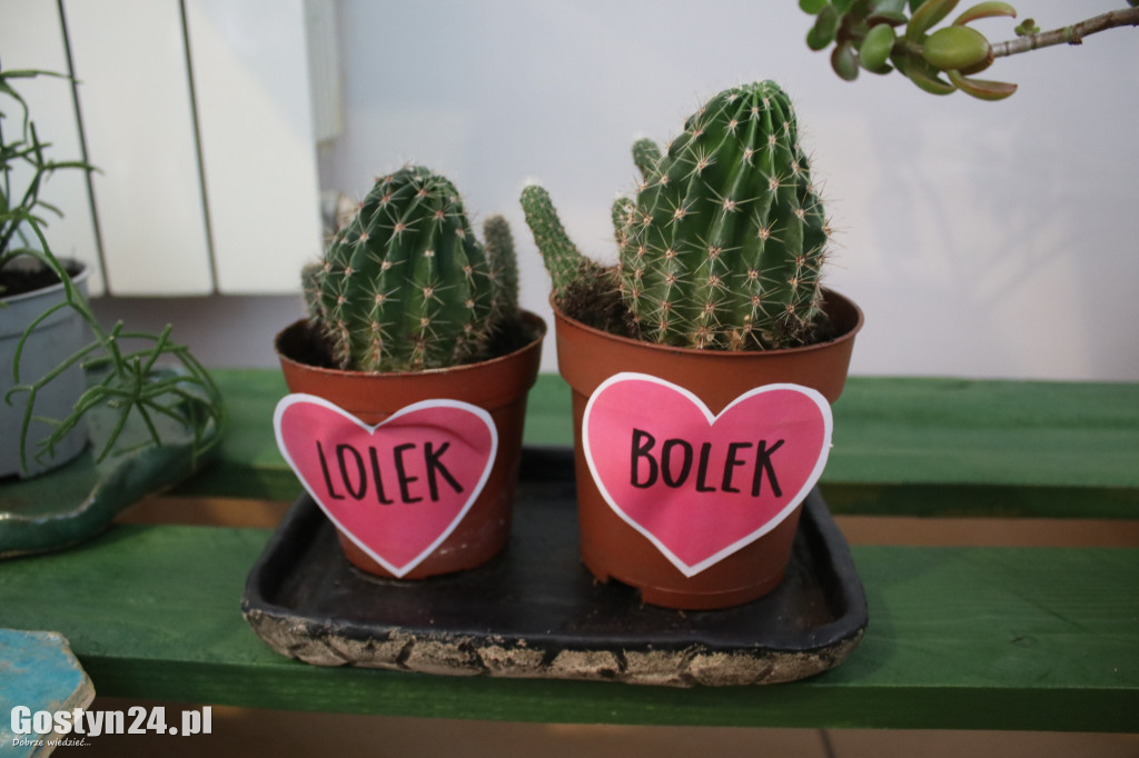 Zielona Strefa w gostyńskim Hutniku