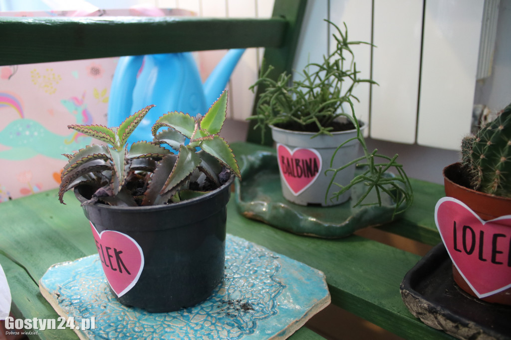 Zielona Strefa w gostyńskim Hutniku